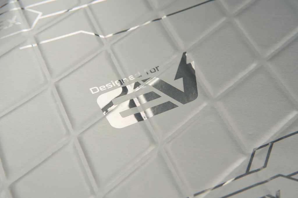 EV Silver website image 3