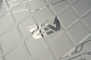 EV Silver website image 3