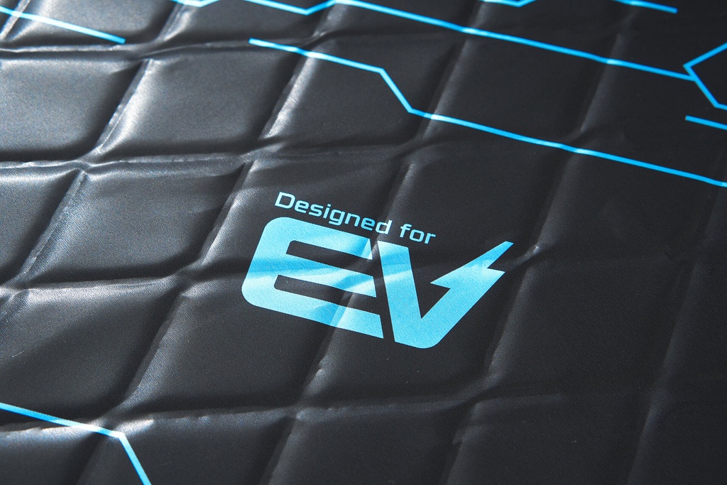 EV Blue website image 3